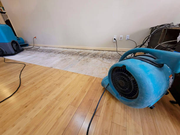 Professional Water Extraction technician working in Troy, TX